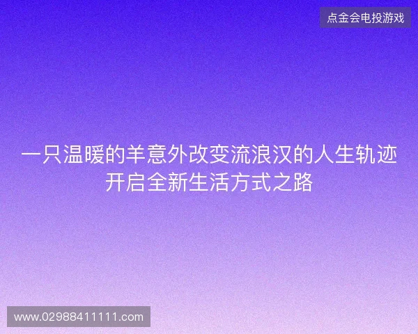 一只温暖的羊意外改变流浪汉的人生轨迹开启全新生活方式之路